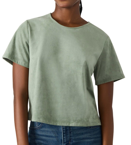 EZRA TOP