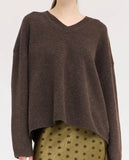 DAILY VNECK SWEATER